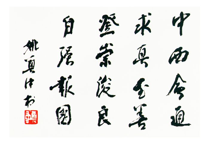 提升办学实力而实施的重大专项工程