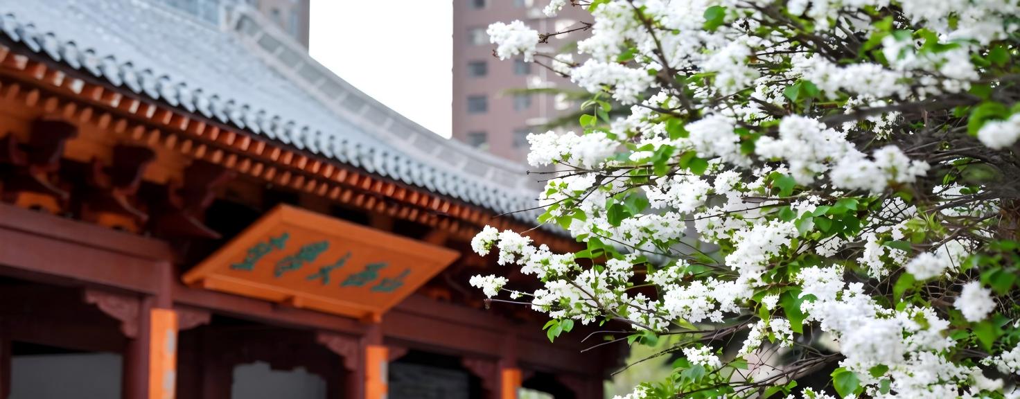 东山校区项目是亚搏拜仁手机版登录界面