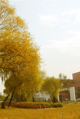 规划中的学府街东延线以南
